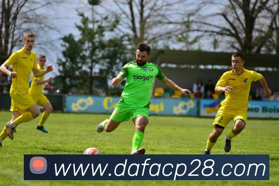 大发彩票官网服务体系